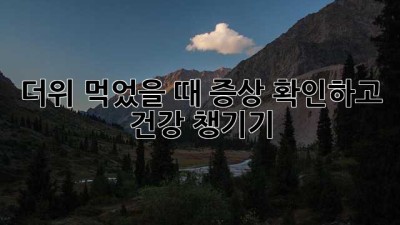더위 먹었을 때 증상 확인하고 건강 챙기기!